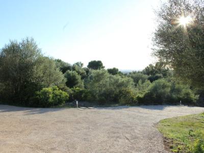 Se vende preciosa finca rústica en Puntiró