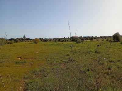 Schönes Grundstück mit Projekt und Bau Lizenz Porto Cristo Son Marineta