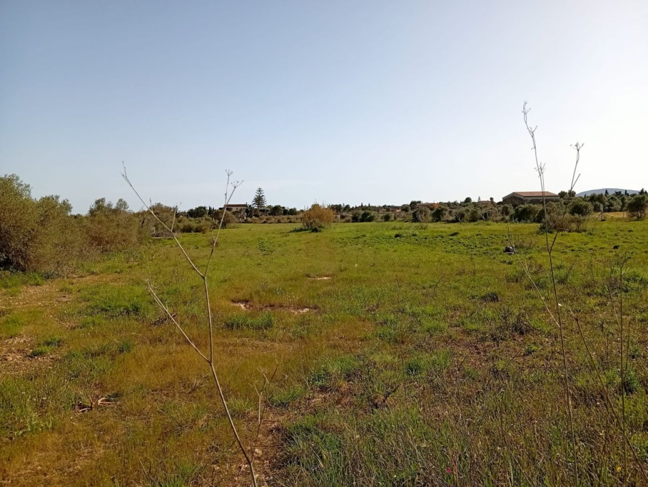 Schönes Grundstück mit Projekt und Bau Lizenz Porto Cristo Son Marineta