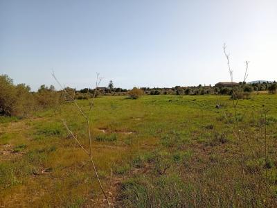 Schönes Grundstück mit Projekt und Bau Lizenz Porto Cristo Son Marineta