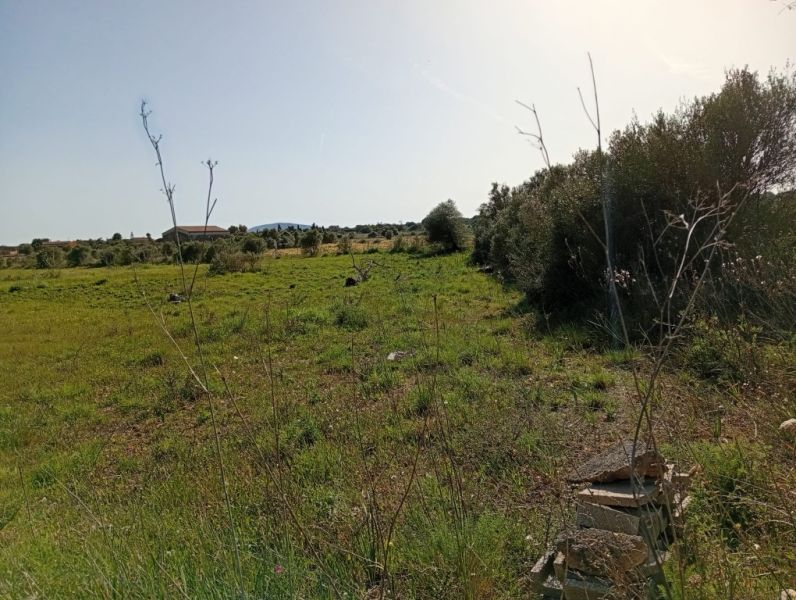 Schönes Grundstück mit Projekt und Bau Lizenz Porto Cristo Son Marineta