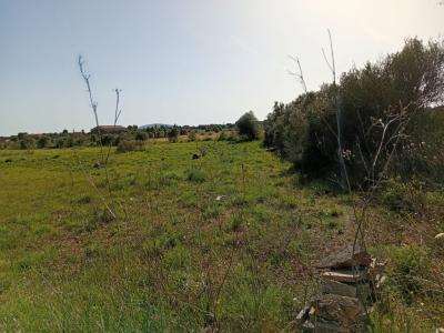 Schönes Grundstück mit Projekt und Bau Lizenz Porto Cristo Son Marineta