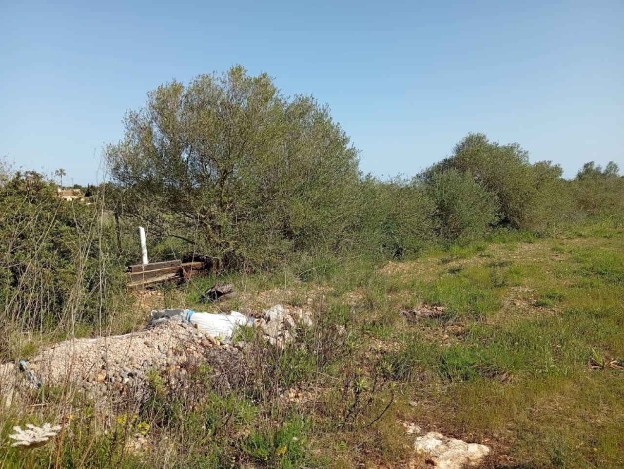 Schönes Grundstück mit Projekt und Bau Lizenz Porto Cristo Son Marineta