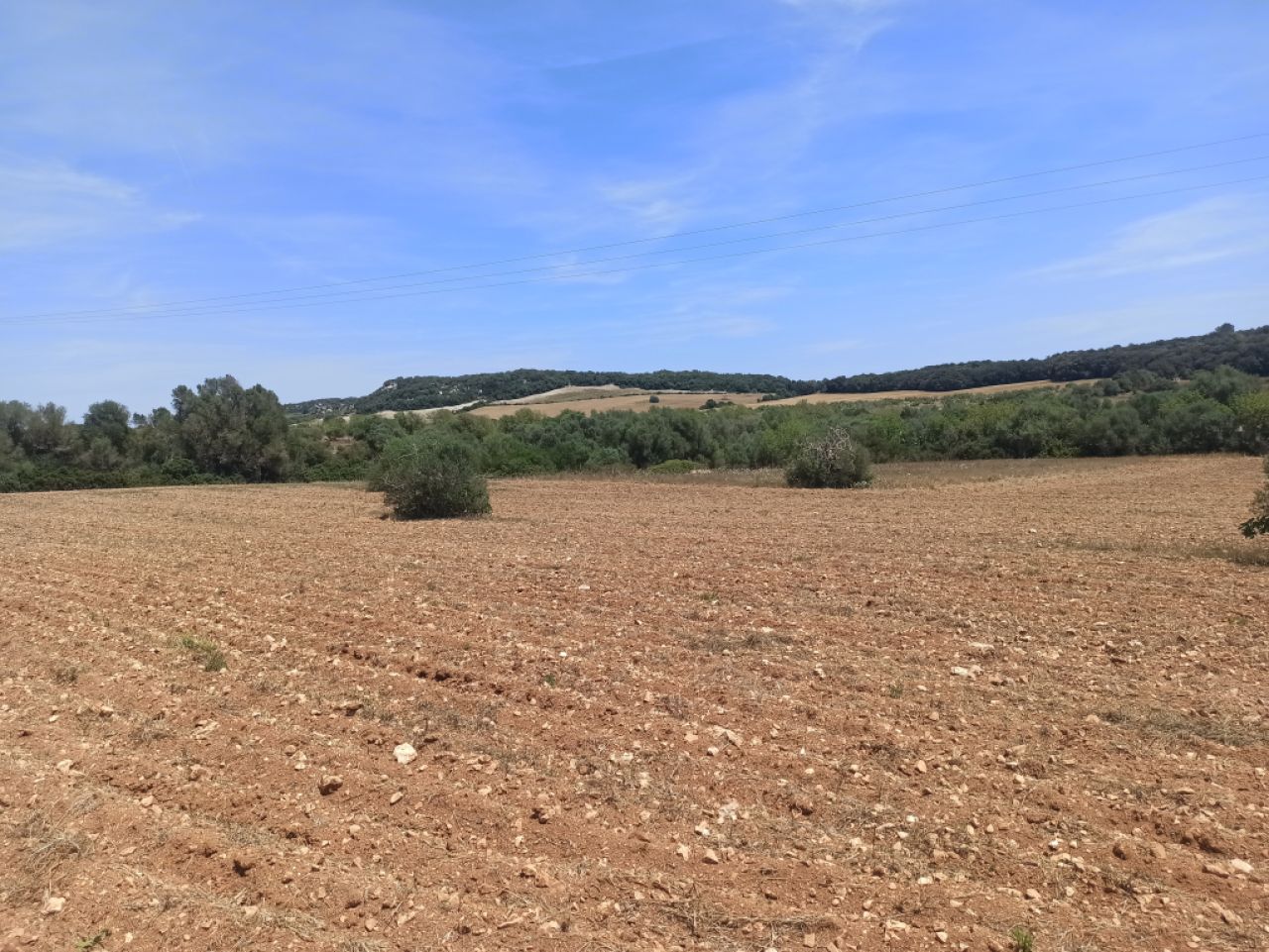 Schönes Ruhiges Grundstück zu verkaufen mit Projekt Manacor San Lorenzo