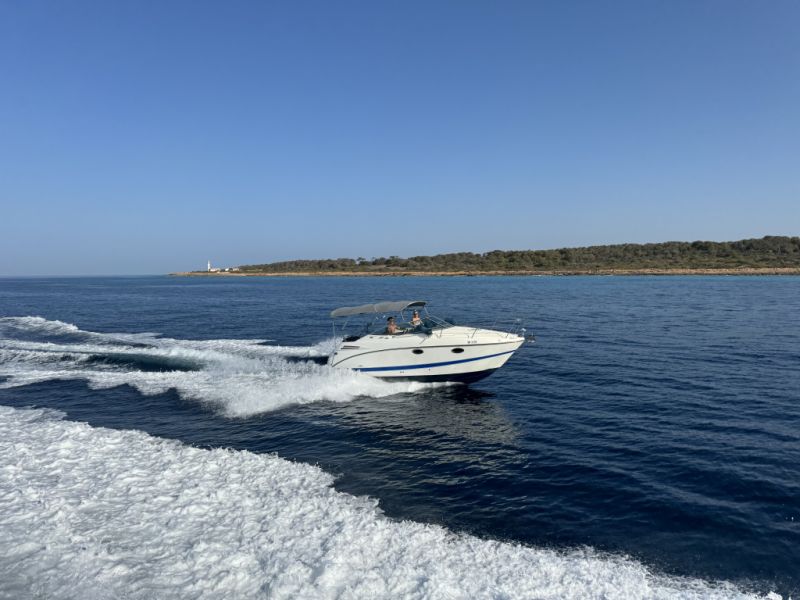 Sehr gepflegtes Motorboot Maxum2600SE zu verkaufen (Liegeplatz kann übernommen werden)