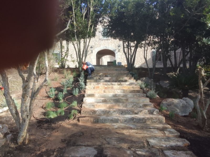 Selbstständiger Gärtner