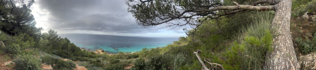 Service Allrounder gesucht (m/w/d)