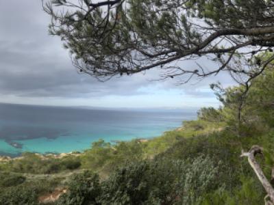 Se busca Service Allrounder (m/f/d)