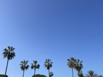 Personal de sala y de cocina