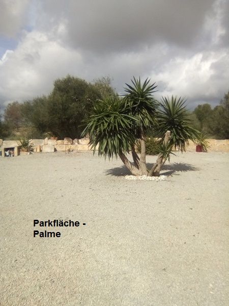 Spanien.Mallorca.Llucmajor. Wunderschöne Finca Rustica zu verkaufen. Legal. Wohn-und Meldeadresse.