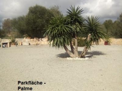 Spanien.Mallorca.Llucmajor. Wunderschöne Finca Rustica zu verkaufen. Legal. Wohn-und Meldeadresse.