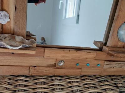 Espejo con marco de madera, madera de deriva y conchas