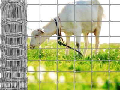 Valla metálica de establo para ganado Valla de jardín de 25 m de 1 metro de altura