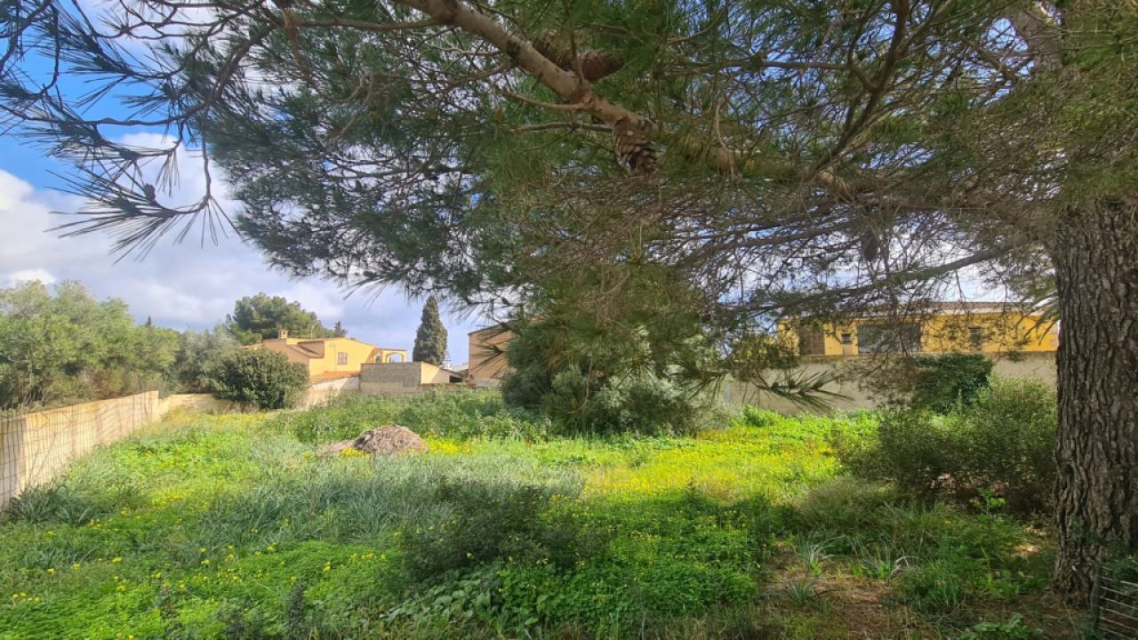 Solar Urbano en Venta – Sa Coma 🏡