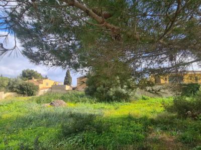 Solar Urbano en Venta – Sa Coma 🏡