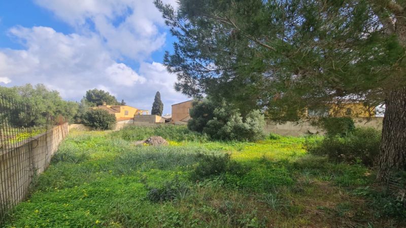 Solar Urbano en Venta – Sa Coma 🏡