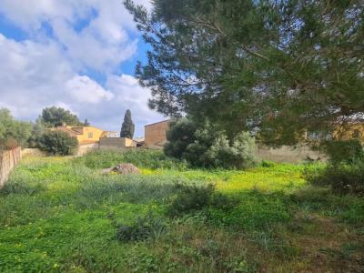 Solar Urbano en Venta – Sa Coma 🏡