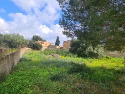 Solar Urbano en Venta – Sa Coma 🏡