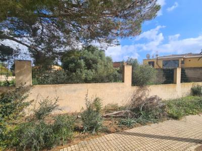 Solar Urbano en Venta – Sa Coma 🏡