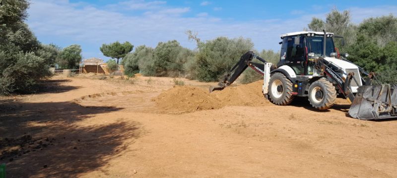 Cuadras cobertizos techos  instalaciones hípicas
