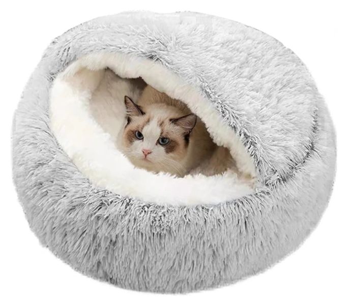 STREET CATS urgently need HELP