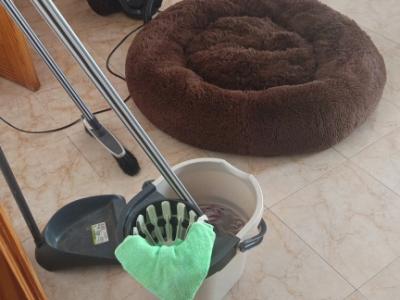 Stundenweise Wohnungsreinigung