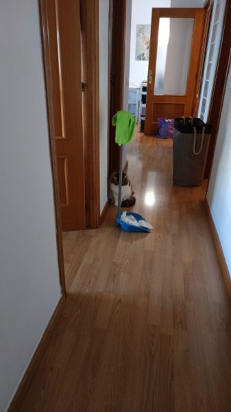 Stundenweise Wohnungsreinigung