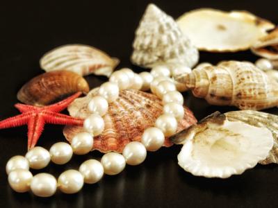 Busco artículos/productos para mi tienda online