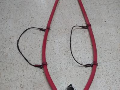 Surfgabelbaum zu verkaufen