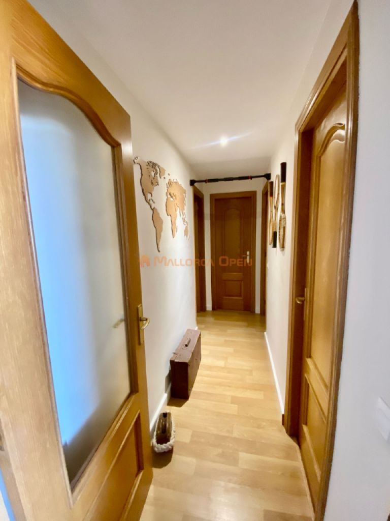 Alquiler temporal en Cala Petita