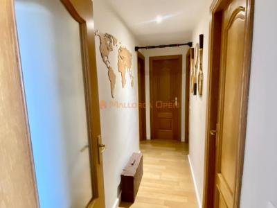 Alquiler temporal en Cala Petita