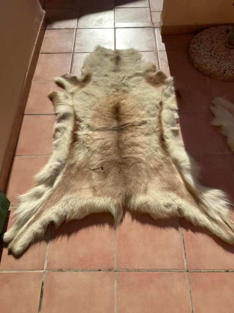 Tierfell, Echthaar, Rentierfell, Winterfell, Dekofell, Stuhlfell, Wanddeko, Holzbankauflage