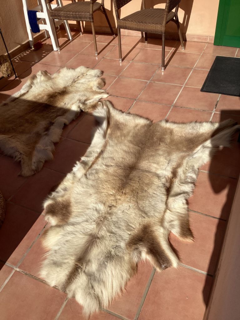 Tierfell, Echthaar, Rentierfell, Winterfell, Dekofell, Stuhlfell, Wanddeko, Holzbankauflage