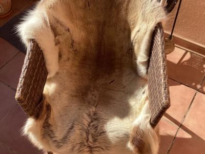 Tierfell, Echthaar, Rentierfell, Winterfell, Dekofell, Stuhlfell, Wanddeko, Holzbankauflage