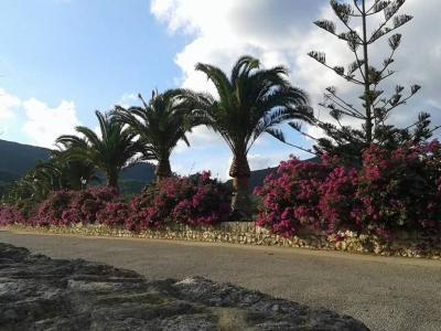 Top Finca zona Manacor Porto Cristo