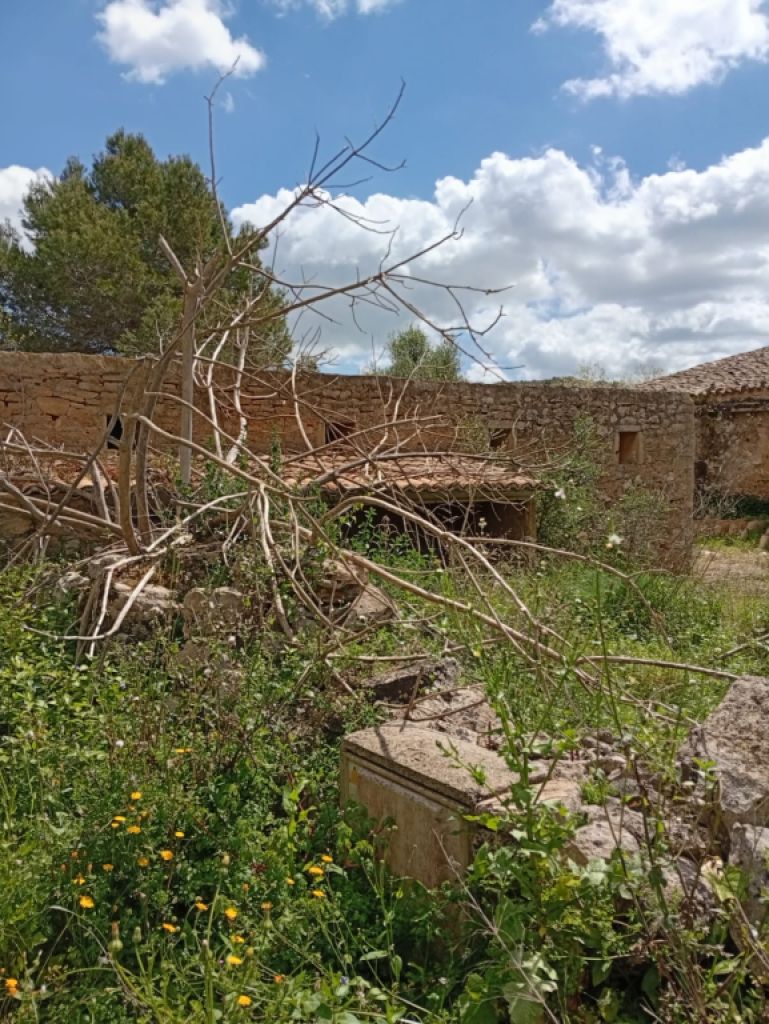 Gran oportunidad en venta en Sant Lorenzo 394.700m2 de parcela