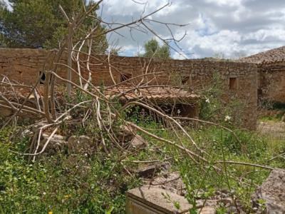 Gran oportunidad en venta en Sant Lorenzo 394.700m2 de parcela