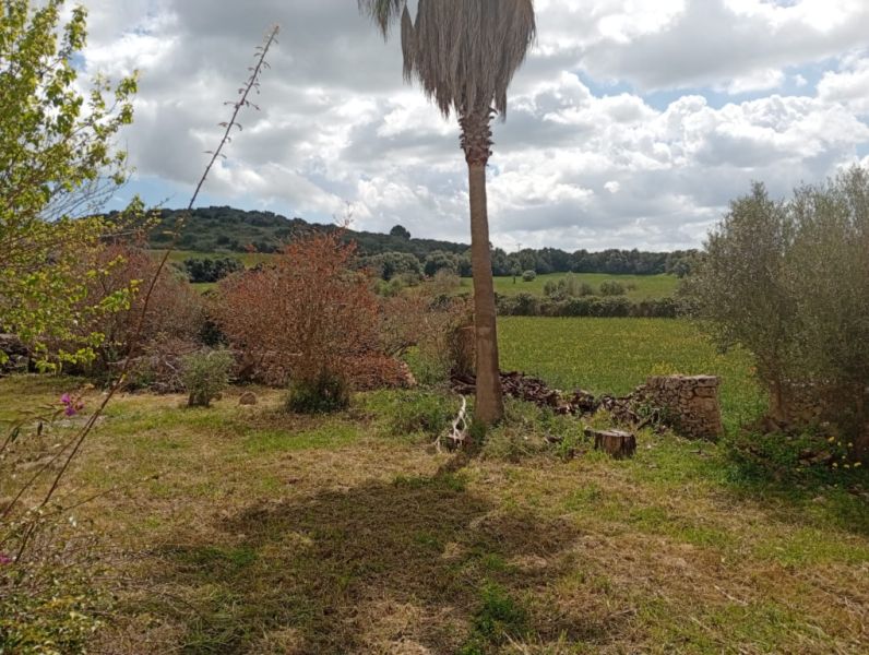 Gran oportunidad en venta en Sant Lorenzo 394.700m2 de parcela