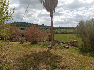 Gran oportunidad en venta en Sant Lorenzo 394.700m2 de parcela