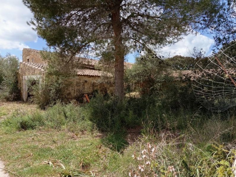 Gran oportunidad en venta en Sant Lorenzo 394.700m2 de parcela