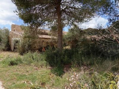 Gran oportunidad en venta en Sant Lorenzo 394.700m2 de parcela