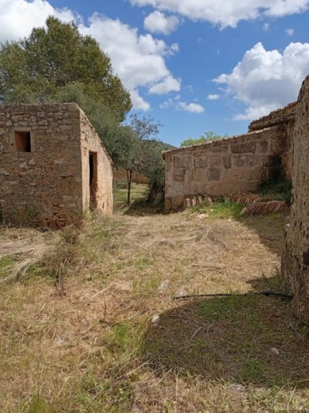 Gran oportunidad en venta en Sant Lorenzo 394.700m2 de parcela