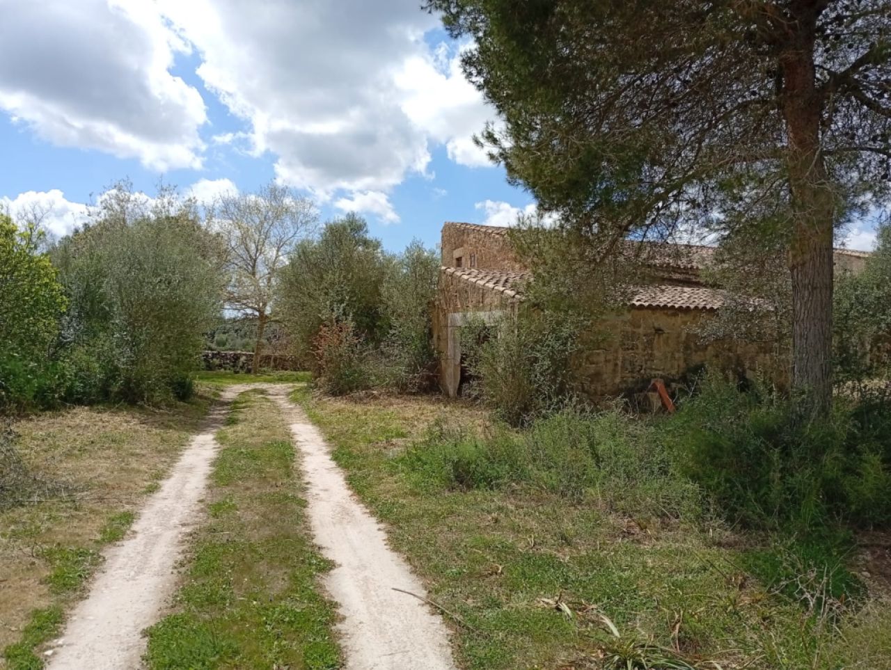 Gran oportunidad en venta en Sant Lorenzo 394.700m2 de parcela