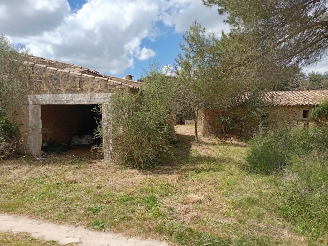 Gran oportunidad en venta en Sant Lorenzo 394.700m2 de parcela