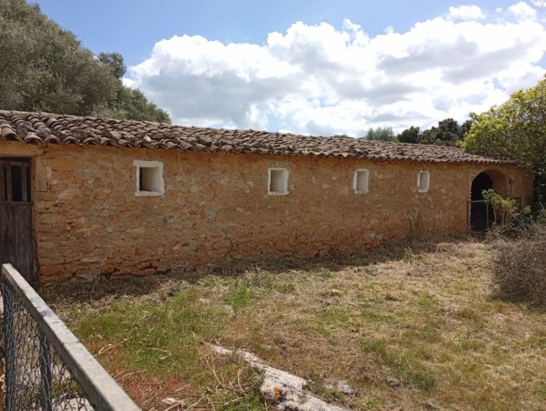 Gran oportunidad en venta en Sant Lorenzo 394.700m2 de parcela