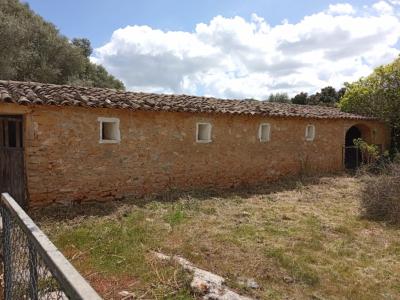 Gran oportunidad en venta en Sant Lorenzo 394.700m2 de parcela