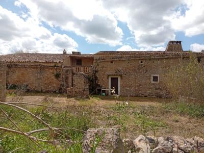 Gran oportunidad en venta en Sant Lorenzo 394.700m2 de parcela