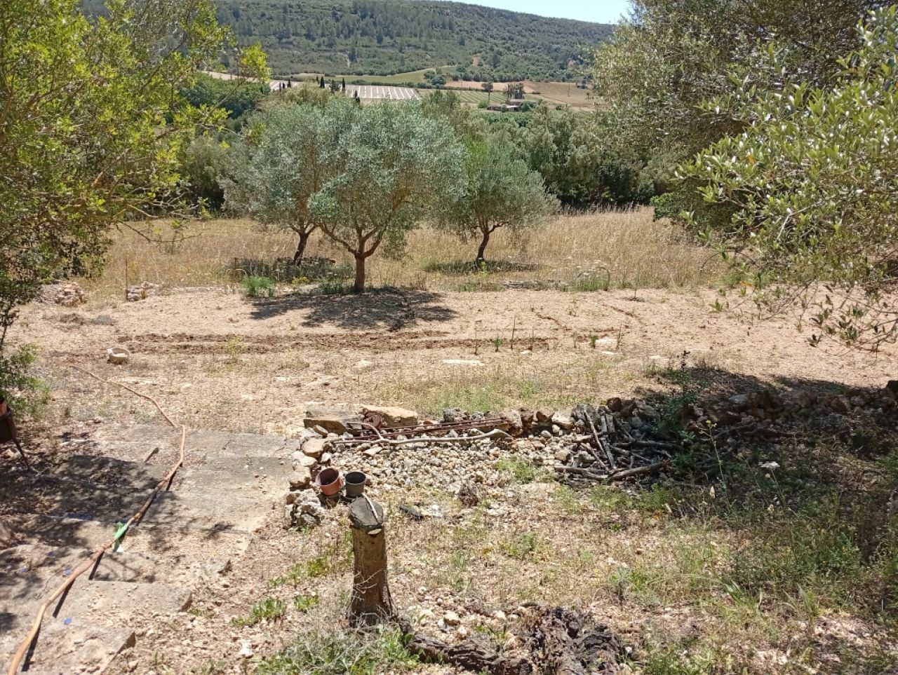 Pequeña finca con fantásticas vistas y tranquilidad