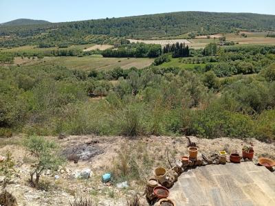 Pequeña finca con fantásticas vistas y tranquilidad