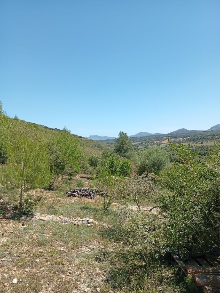 Pequeña finca con fantásticas vistas y tranquilidad